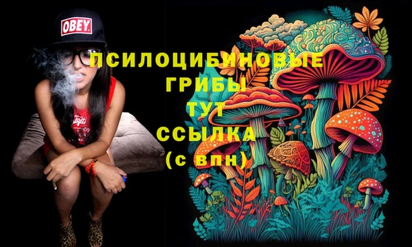 кокаин Алексеевка